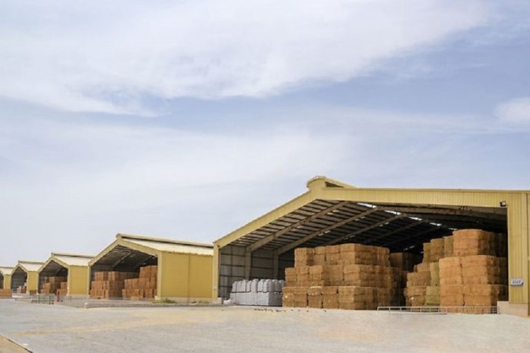 Fodder Trading ADAFSA launches Middle East’s largest Fodder Market to boost feed trade ...
