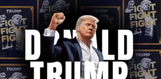 Donald Trump meme coins