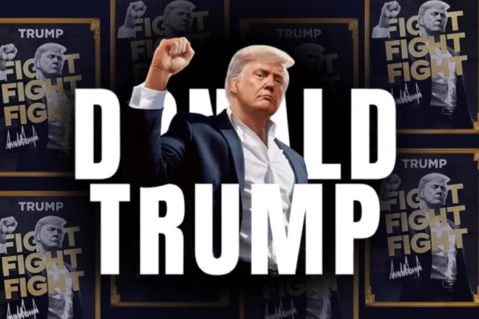 Donald Trump meme coins