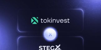 Tokinvest partners with StegX to advance tokenization of real-world assets Tokinvest partners with StegX