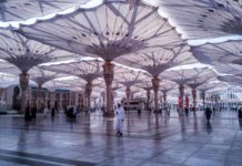 Saudi Reef launches new initiative