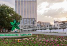 DHCA partners with Al Jalila Foundation