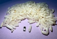 Scientists develop smallest pacemaker