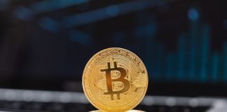 Emirates Coin Investment obtains SCA license