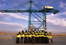 Port of NEOM automated cranes