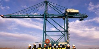 Port of NEOM automated cranes