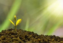 GFH Financial Group-Safa Environment Day