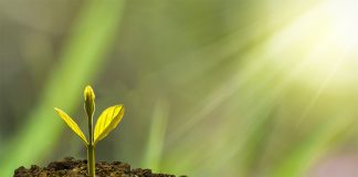 GFH Financial Group-Safa Environment Day