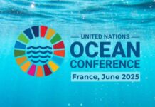 UN Ocean Conference 2025