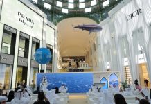 Qatar Tourism unveils Whale Shark tours 2025