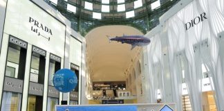 Qatar Tourism unveils Whale Shark tours 2025