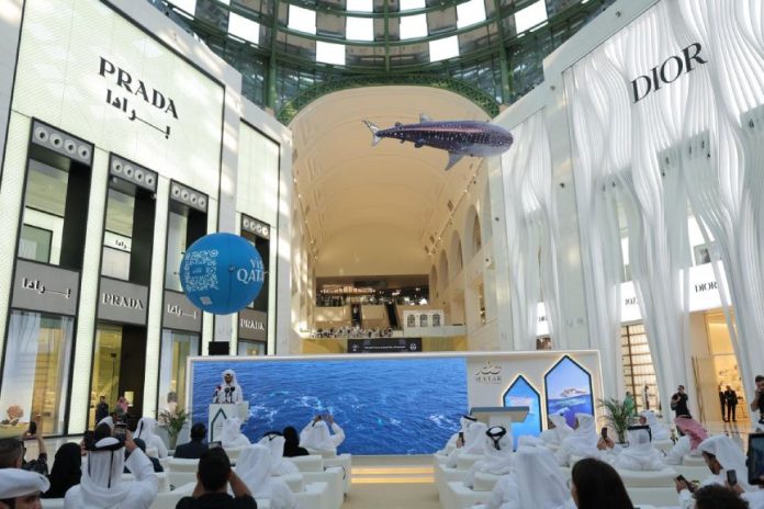 Qatar Tourism unveils Whale Shark tours 2025