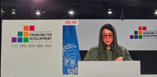 UAE participates in FFD4 meet in Spain
