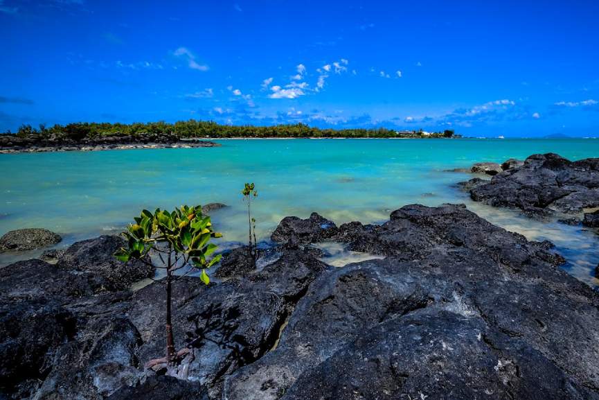 Mauritius Beach