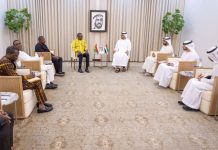 UAE and Burkina Faso bolster bilateral relations