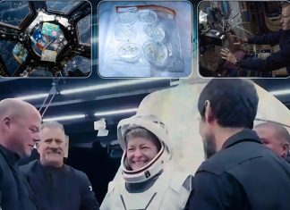 SSA confirms return of 'Madak Space' experiments from ISS