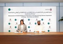 Abu Dhabi DoE partners with INSEAD