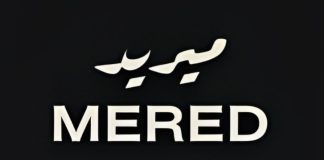 MERED introduces Summer Internship Program