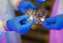 KAUST researchers find salt boosts water battery lifespan