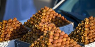 Buraidah Dates Carnival empowers Qassim’s economic growth