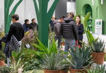 Desert Group to unveil green innovations at ME Expo 2025