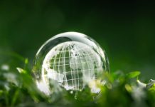 Green Finance leads WGES 2025 agenda in Dubai