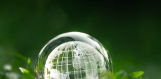 Green Finance leads WGES 2025 agenda in Dubai