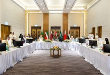 GCC Statistical Affairs Permanent Committee reviews strategic plan