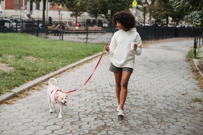 Daily walking for back pain