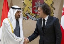 UAE President-Georgian Prime Minister meeting - GCC Business News