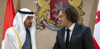 UAE President-Georgian Prime Minister meeting - GCC Business News
