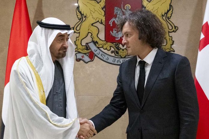 UAE President-Georgian Prime Minister meeting - GCC Business News