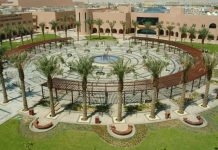 King Faisal University recognized by IASP
