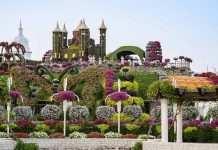 Dubai Miracle Garden Season 14 opened - GCC Business News