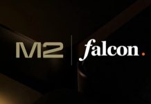 M2 Capital investment in Falcon Finance
