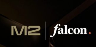 M2 Capital investment in Falcon Finance