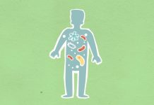 Gut Methane and calories-GCC Business News