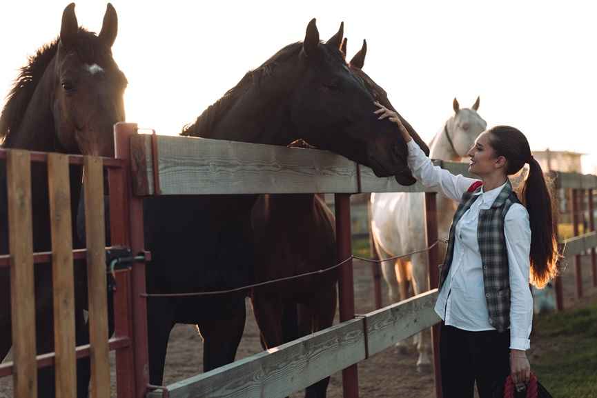 Woman with horse-Gainsborough Stud Farm-representational image