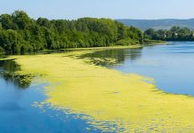 Voluntary Carbon Market Company signs several agreements-GCC Business News