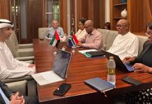 UAE and South Africa bilateral partnership-GCC Business News