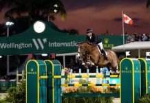 Modon Holding's strategic investment in Wellington Lifestyle Partners