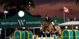 Modon Holding's strategic investment in Wellington Lifestyle Partners