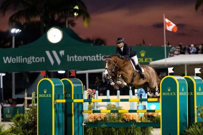 Modon Holding's strategic investment in Wellington Lifestyle Partners