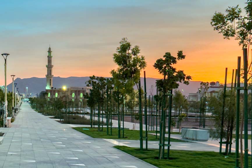 Madinah explores bilateral cooperation with Uzbekistan