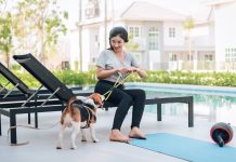 Abu Dhabi DMT updates rules to allow pets at tourist venues- GCC Business News
