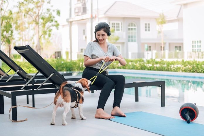 Abu Dhabi DMT updates rules to allow pets at tourist venues- GCC Business News