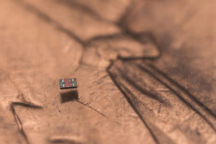 Worlds-smallest-autonomous-robots -GCC Business News Worlds-smallest-autonomous robots -GCC Business News