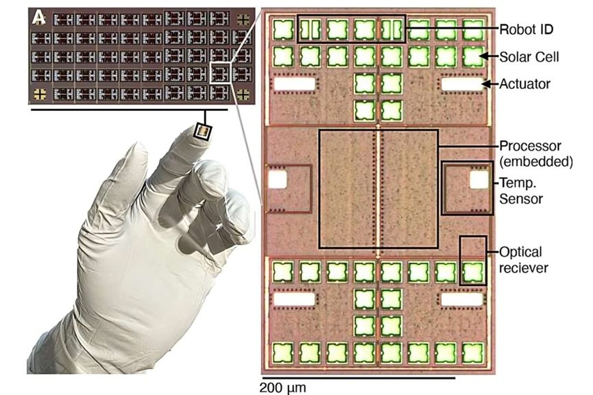 Worlds-smallest-autonomous-robots-s -GCC Business News