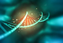 Abu Dhabi DoH delivers ITVISMA gene therapy-GCC Business News