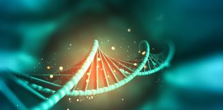 Abu Dhabi DoH delivers ITVISMA gene therapy-GCC Business News